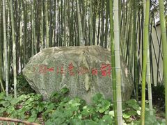 -上海醉白池公园