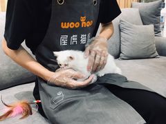 -屋虎猫馆(宝安大仟里店)
