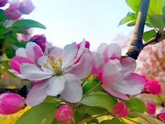 -元大都城垣遗址公园