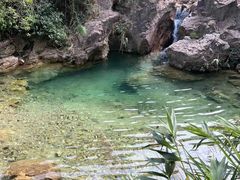 -南海湾森林生态园