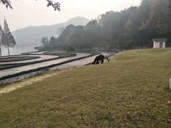 -石燕湖生态旅游景区
