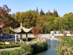-中山公园