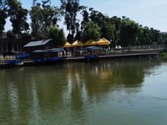 -洪湖生态旅游区