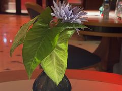 -Mezomd曼索蒂西班牙餐厅(广粤店)