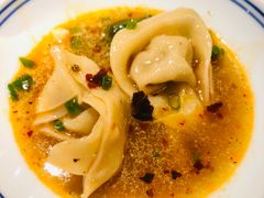 星光麻辣抄手-村外有星光小食铺(长嘉汇店)