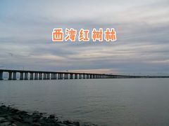 -宝安西湾红树林湿地公园