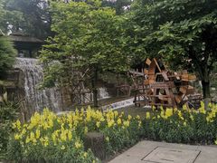 -成飞公园