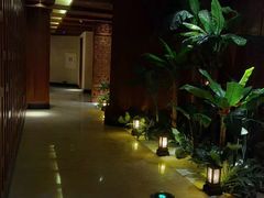 -紫莲花足道(柯桥古镇店)