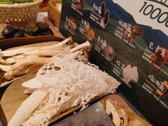 -芸山季·云南山珍菌火锅(人民广场来福士店)