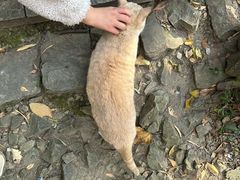 -穹窿山景区