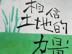 -黄桷坪涂鸦艺术街