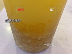 -放哈·甜醅子奶茶创造者(阳光丽景湾店)