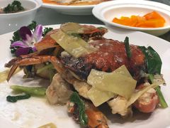 -席家花园(巨鹿花园店)