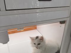 -宝龙城(杭州滨江店)