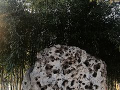 -莲池书院博物馆
