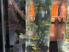 -广东中医药博物馆