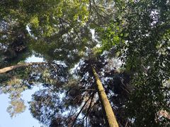 -青城山