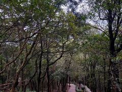 -梧桐山风景名胜区