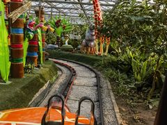 -南宫五洲植物乐园