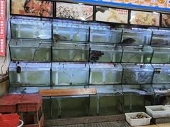 -林记海鲜排档·十年海鲜地标