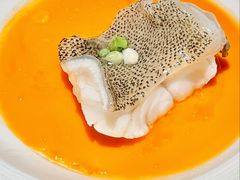 -南海渔村(珠江新城店)