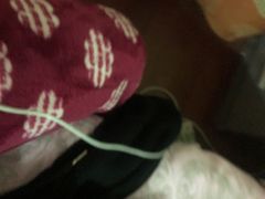 -艺林盲人按摩院(长寿店)