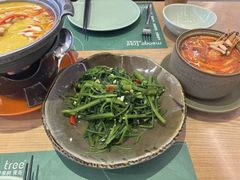 -mango tree芒果树泰国餐厅(青岛万象城店)