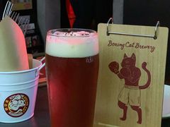 -Boxing Cat Brewery拳击猫精酿啤酒馆(永福店)