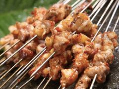 烤羊肉串9毛-猫姑娘大盘鸡(商城路店)