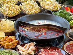 -阳阳老火锅(小南门店)