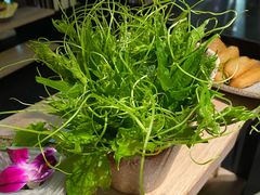 丝瓜苗-新草堂锅物料理(泉城路店)