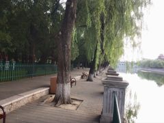 -中山公园音乐堂