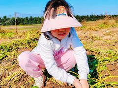 -汉长安城未央宫国家考古遗址公园