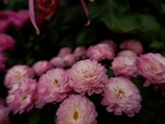 -汇龙潭
