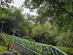 -南宁市凤岭儿童公园