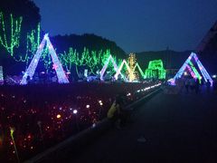 -东南花都花博园
