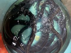 -美乐食街(小南店)