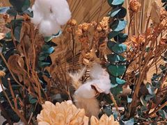 -红蕃干锅·脆皮香辣虾(南屏街金鹰店)