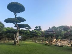 -南宁南湖公园