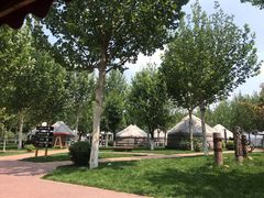 -九十九顶毡房(阜石路店)