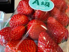 -百果园PAGODA(和泓四季店)