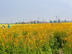 -中国天府农业博览园