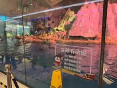 -帝企鹅自助餐厅•儿童岛•真企鹅(长隆企鹅酒店)