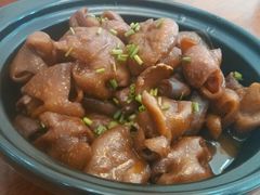 -阿林有机农庄