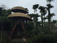 -海南槟榔谷黎苗文化旅游区