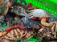 -众味海鲜大排档·活海鲜·潮汕味(南澳店)