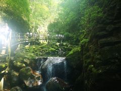 -牛背梁国家森林公园