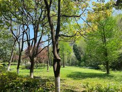 -黔灵山公园
