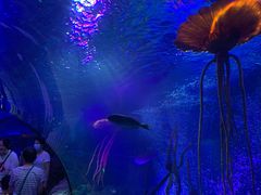 -沈阳海洋探索中心