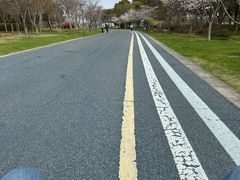 -贡湖湾湿地公园